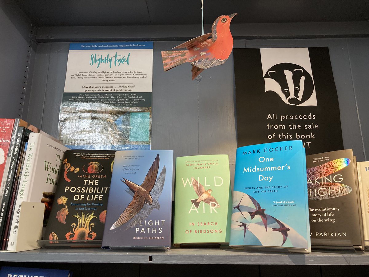 bailhill's tweet photo. Delighted that the swifts are still wowing us on Fore Street - far more enthralling than lumbering traffic… Soaring stuff indeed! @4thEstateBooks @JMLockhart2 @_SwiftPress @r_heisman @eandtbooks @LevParikian @JonathanCape @MarkCocker2 https://t.co/ncpl4nwG5O