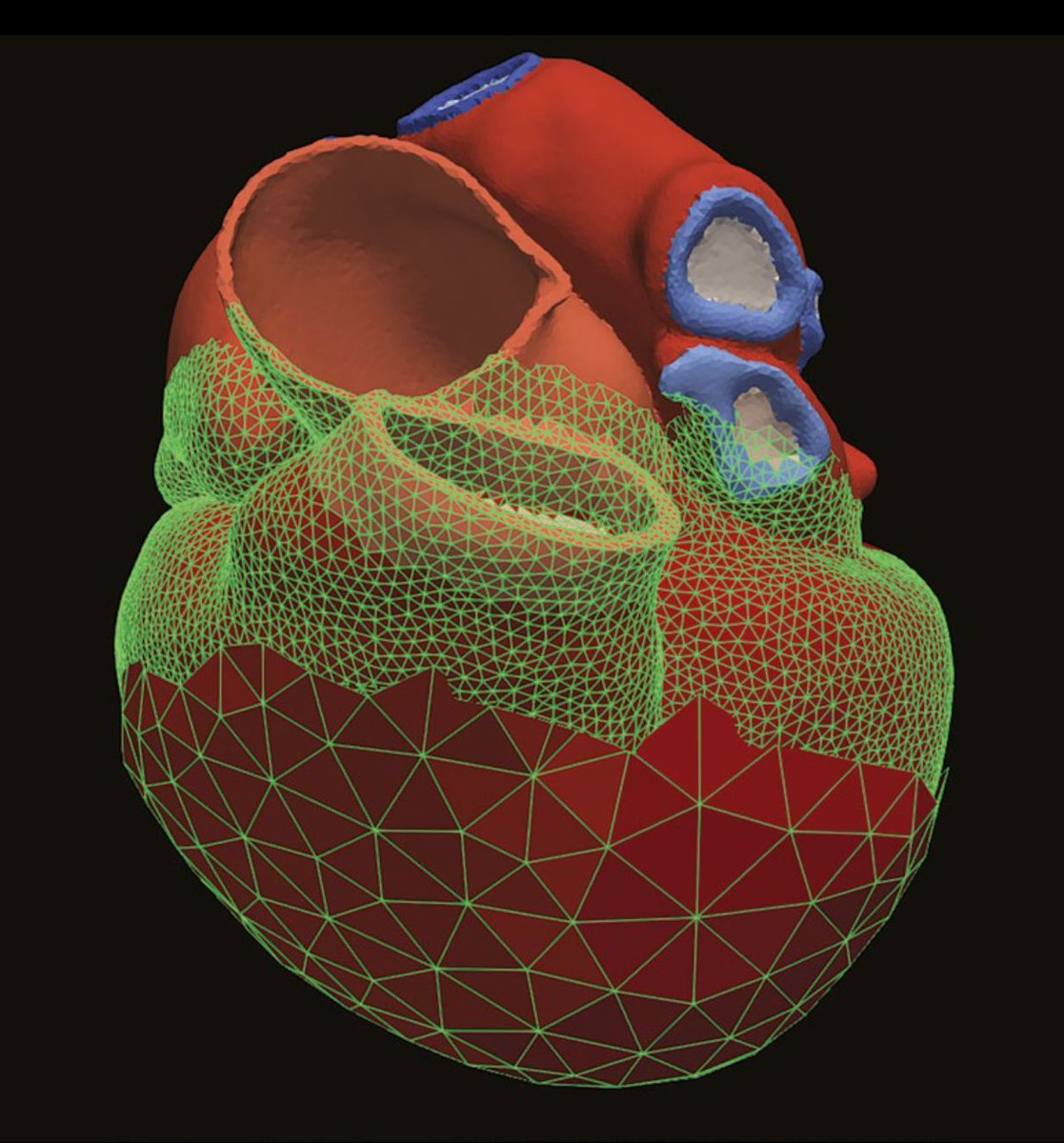 ARCHER2_HPC's tweet photo. Cardiac digital twin to improve patient therapy
https://t.co/rFnm1ktjBG https://t.co/tpGRTh56B1