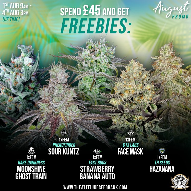 attitudeseeds's tweet photo. Don’t miss our August promo #freeseeds 

https://t.co/rtnezcyagG

#theattitudeseedbank #attitudeseedbank #attitudeseeds https://t.co/DZ0ufEsDXS