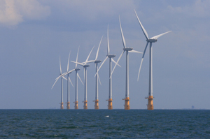 JNCC_UK's tweet photo. We’re delighted to announce a successful bid to Offshore Wind Evidence & Change Programme - #ProcBe (Procellariiform Behaviour & Demographics) aims to improve understanding of at-sea behaviour, distribution and demography of shearwaters and storm-petrels https://t.co/AgLryQm8QA https://t.co/9K2U1FbdMo
