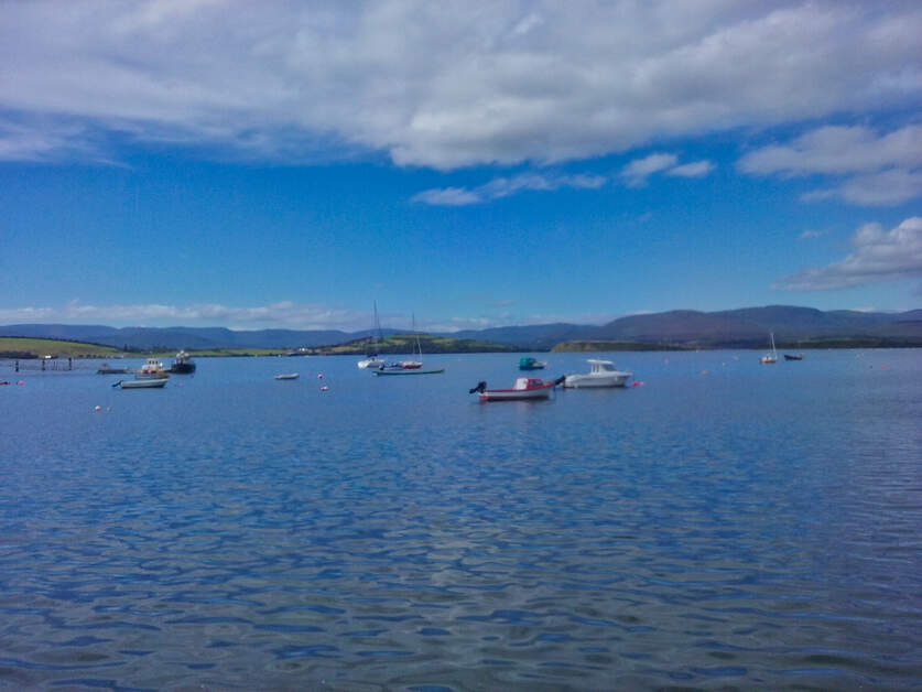 CorkCityTours's tweet image. We have limited availability left on our West Cork to Mizen Head day tour on Saturday 5th of August so don't miss out book now! #westcork #mizenhead #bustour #daytour

corkcitytours.com/tours/west-cor…

📍 Bantry Bay
📷 ©Fáilte Ireland | Courtesy Marie Cremin