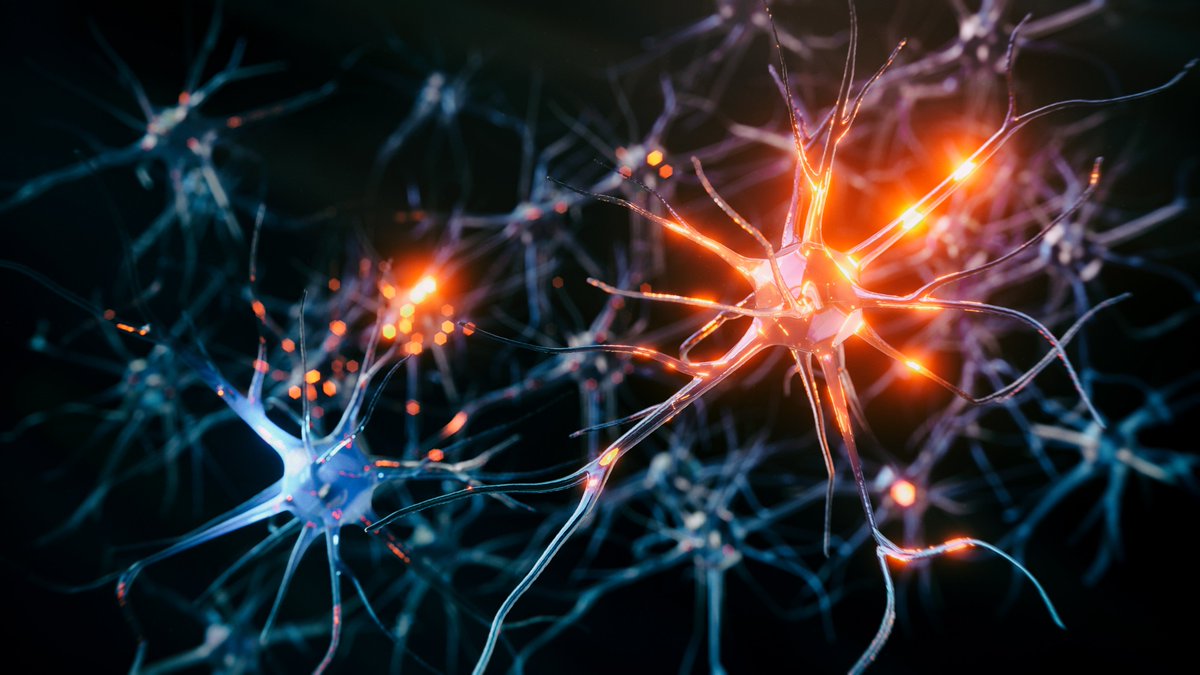 Karolinska Institutet (@karolinskainst) on Twitter photo Study published in <a href="/naturemethods/">Nature Methods</a> used light to map brain circuitry, revealing new insights into panic disorder's inhibitory neurons. These findings offer hope for improved therapies and a deeper understanding of the pathophysiology. Research by <a href="/fuzikjanos/">Fuzik Janos</a> , <a href="/csillagvera/">Veronika Csillag</a> et al. Study published in <a href="/naturemethods/">Nature Methods</a> used light to map brain circuitry, revealing new insights into panic disorder's inhibitory neurons. These findings offer hope for improved therapies and a deeper understanding of the pathophysiology. Research by <a href="/fuzikjanos/">Fuzik Janos</a> , <a href="/csillagvera/">Veronika Csillag</a> et al.
