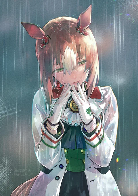 本の表紙絵なども入れてます