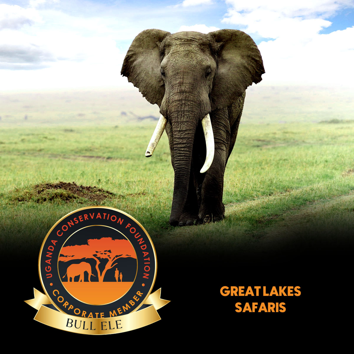 UgandaCF's tweet image. #CorporateMemberSpotlight

We’re glad to welcome Great Lakes Safaris @SafarisUganda to the herd who have just signed up as a Bull Ele Corporate Member!

Great Lakes Safaris is a specialized safari company offering tailor-made safaris and small-group tours to the heart of 

1/5