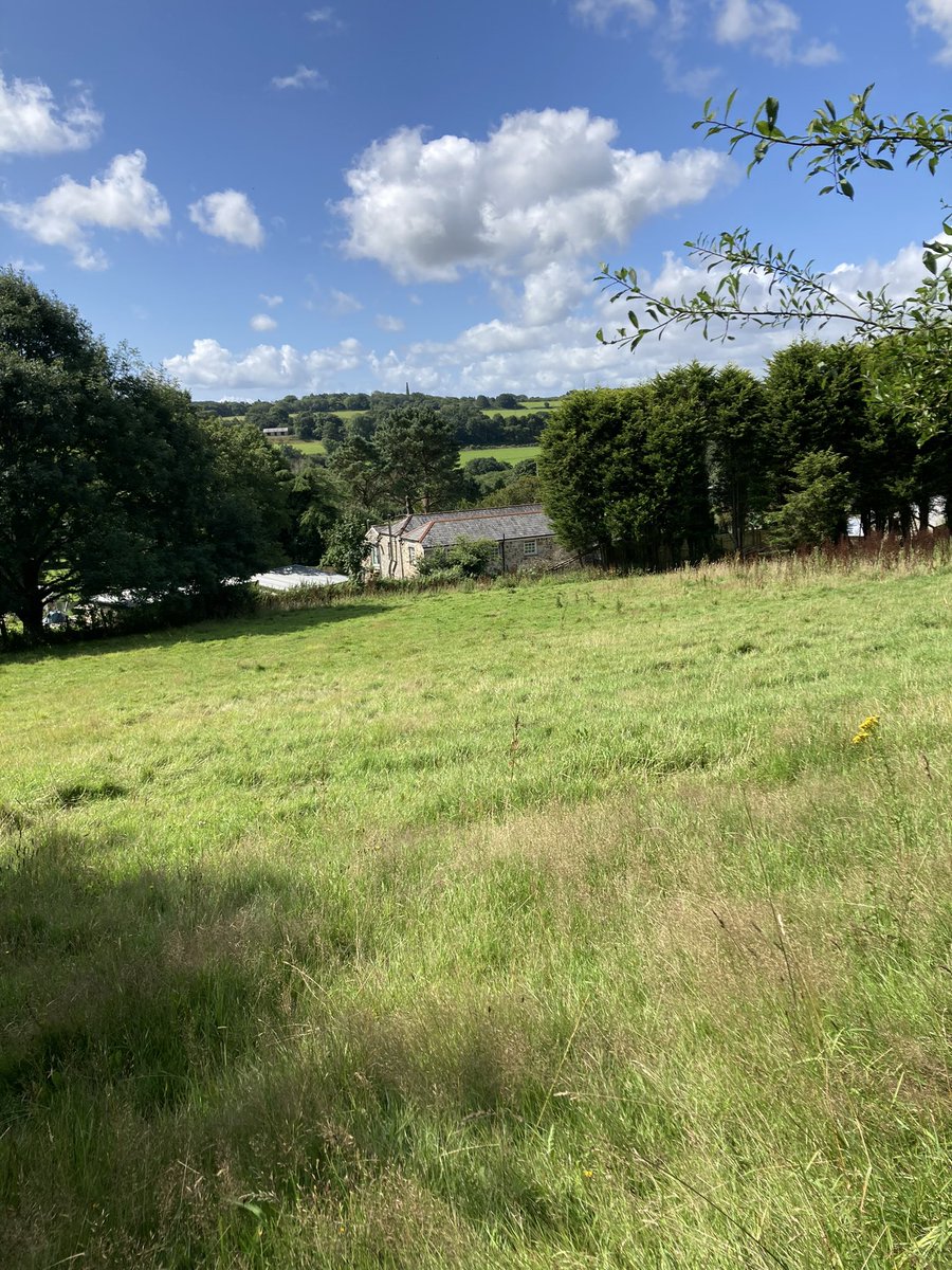 BlaiseCottage's tweet photo. Country lane walks regardless of the weather @blaisecottage #cornwall #footpaths #steps #healthylifestyle #airbnbcornwall #airbnbsuperhost🏆 #rural_love #liquidrefreshment @polgooth_inn #summer #freshair #labrador #bluesky #herecomestherainagain https://t.co/DGymWadrzG