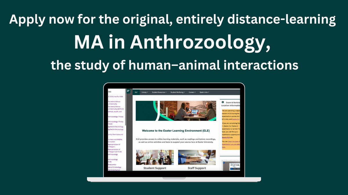 Interested in human–animal interactions? Why not do a Masters via distance-learning? It's not too late to apply for a Sept 2023 start! We offer full-time and part-time study options @UniofExeter @EASE_anthrozoo For more info: tinyurl.com/yck9ftp3