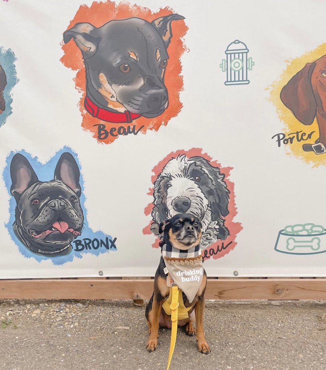 University District tweet media