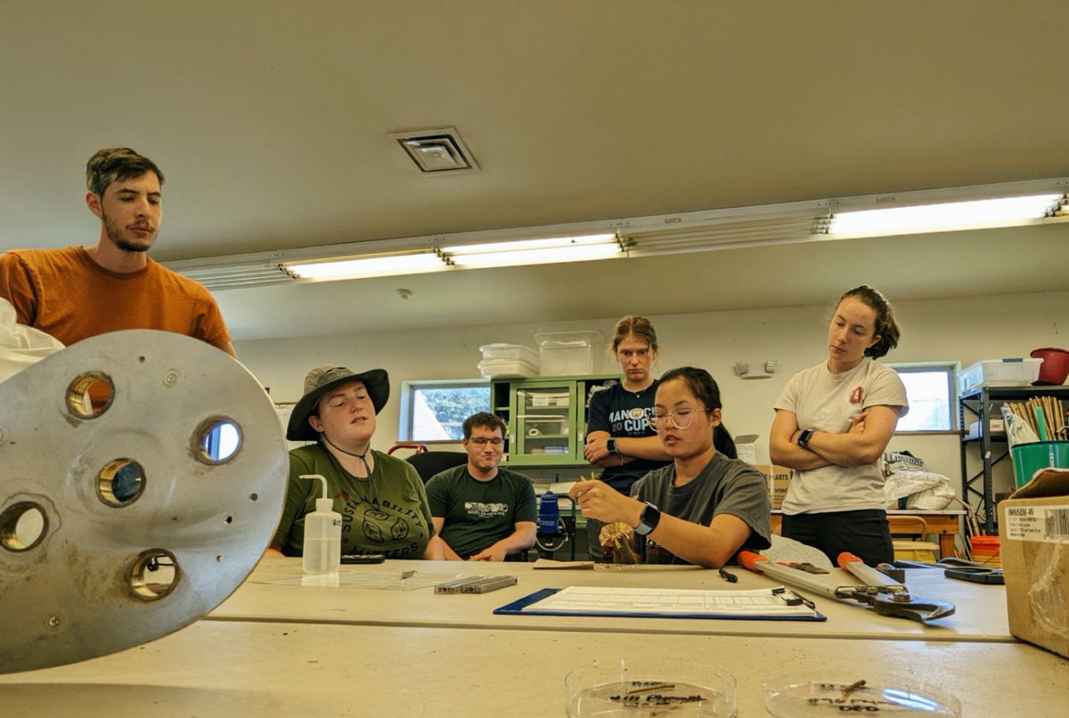 Jennifer Koch (@treebreederkoch) on Twitter photo Training interns to dissect EAB from trees being tested for resistance! Julia Wolf and <a href="/aletta_doran/">Aletta Doran</a> (photo credit) explaining procedures and then they will get to practice on infested seedlings. Next week they will start on the experimental trees! Training interns to dissect EAB from trees being tested for resistance! Julia Wolf and <a href="/aletta_doran/">Aletta Doran</a> (photo credit) explaining procedures and then they will get to practice on infested seedlings. Next week they will start on the experimental trees!