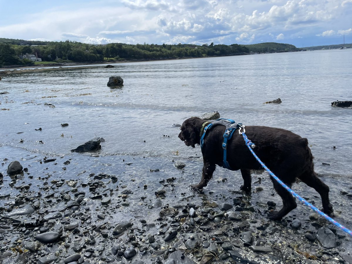 Andrew Miller tweet media