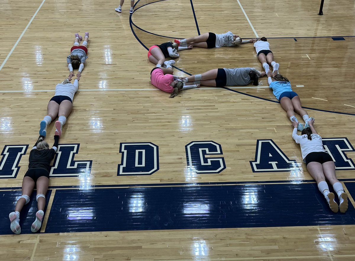 Napoleon Volleyball tweet media