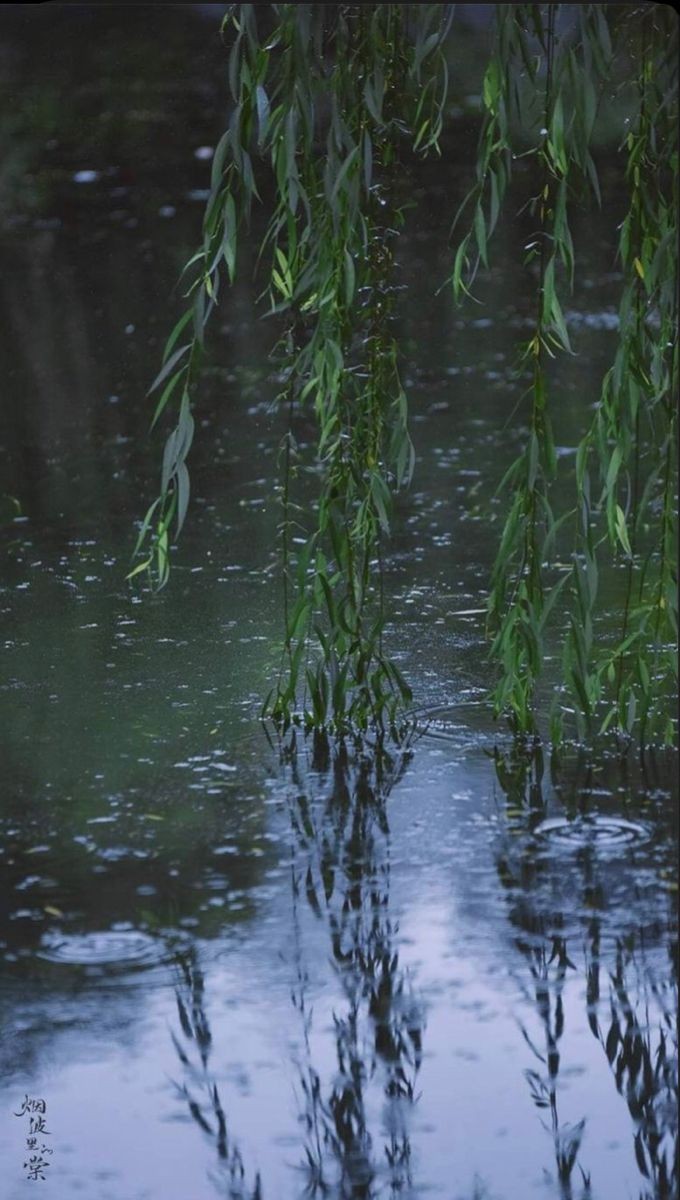 elemmiressoul's tweet photo. rain &amp; serenity. https://t.co/1qH1ZiFiUo