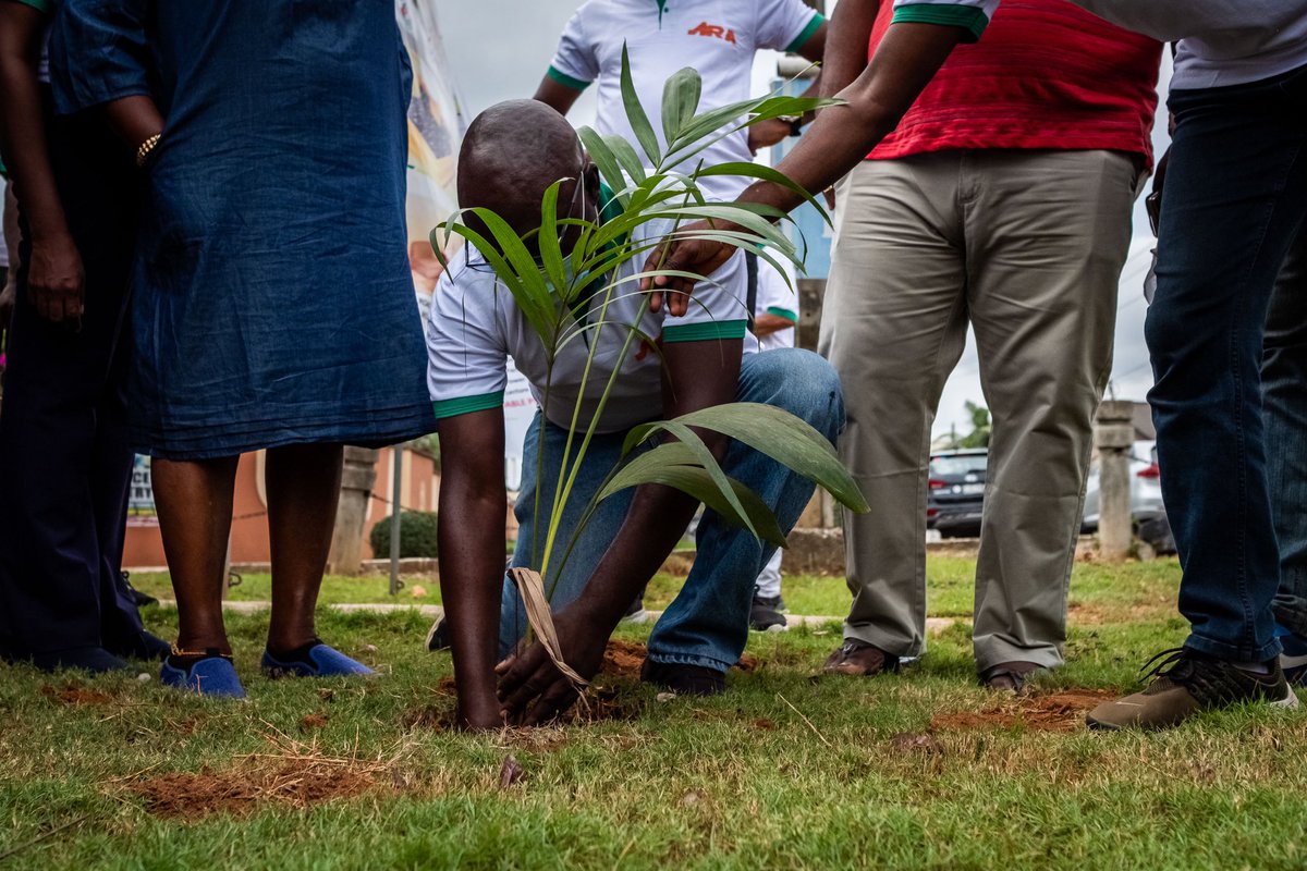 SustyVibes's tweet image. Trees are Incredible! They give us fruits, medicine, and help biodiversity thrive, making our planet healthy. 🌎

Here’s a throwback to #Communitrees  where we’ve planted 5000+ indigenious trees all over Nigeria. 

We’re thrilled to continue our efforts towards protecting…