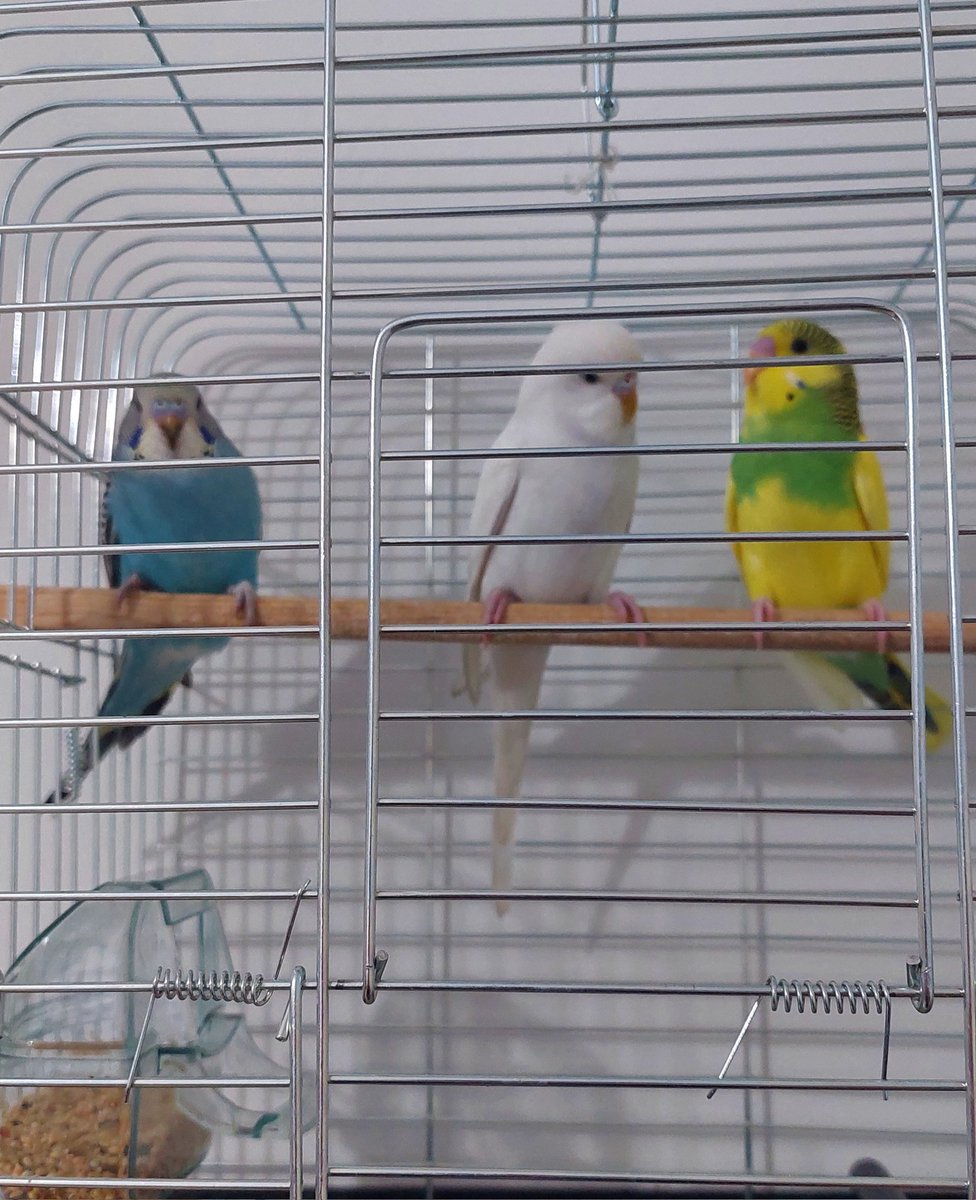 Eyk&amp;Maura&amp;Daniel 
love triangle...
#Save1899 
#1899netflix