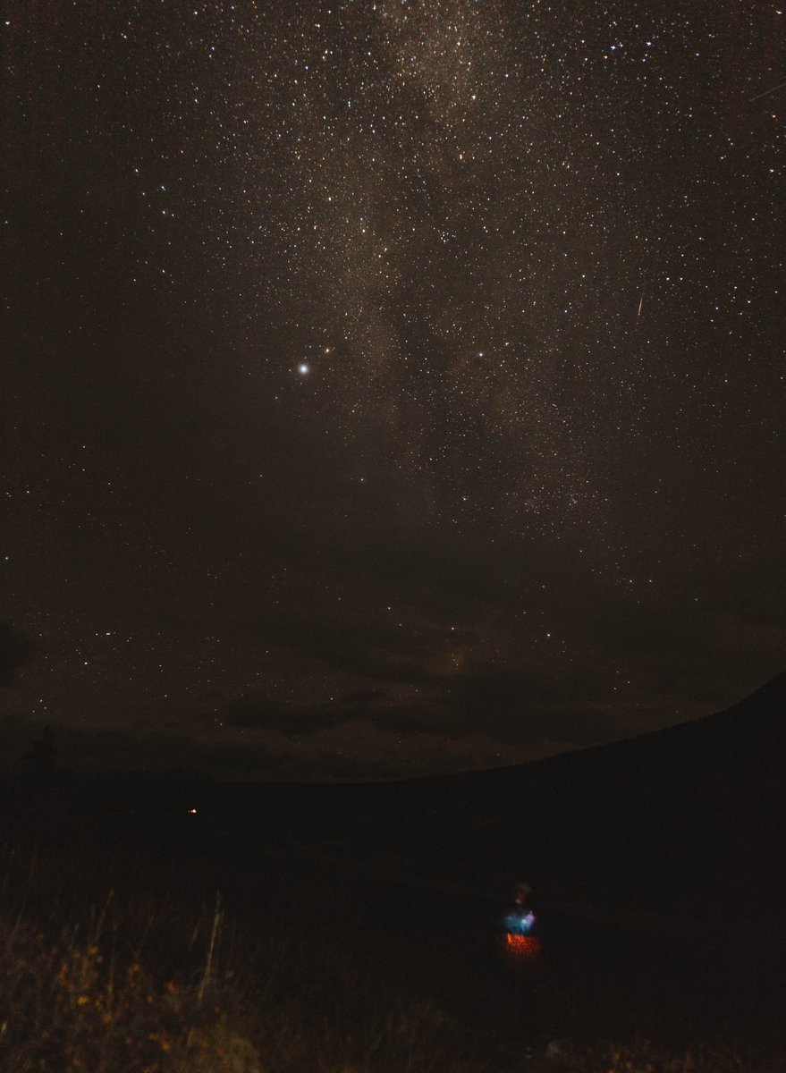 Photos I took on LSD