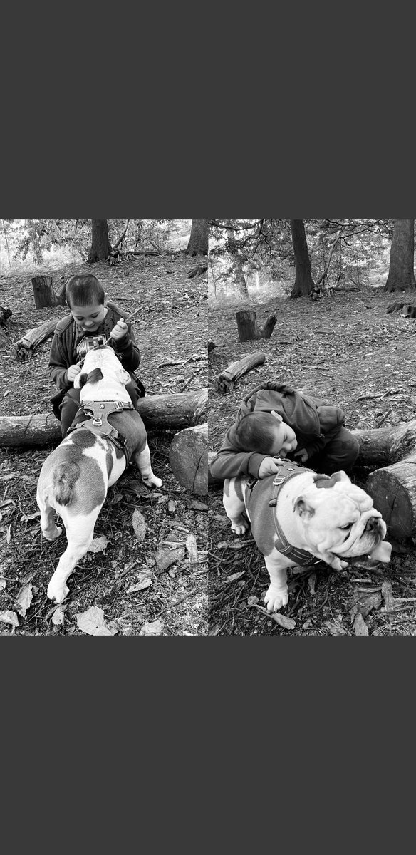 He loves being with his buddy 🥰🐶 xxxx