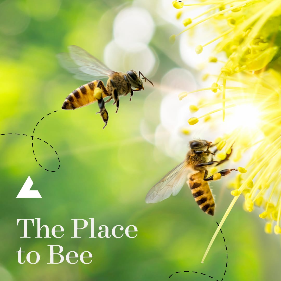 And just like that...August is here. Remember to take a dip and enjoy the refreshing Reading Commons pool while you can, it's "The Place to Bee" to beat the heat. #August2023