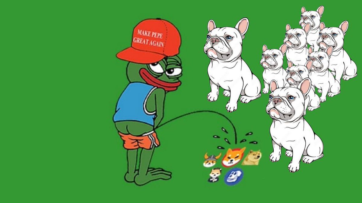 Pepe_dog_erc's tweet photo. community after launch
It will be open to the public 🪐.
To prevent fake addresses and to prevent bots

Pepe dog will be active as a long-term Pepe pet🐶🔥.

$Pepe $shib $PEPED https://t.co/K5RedR8m6Z