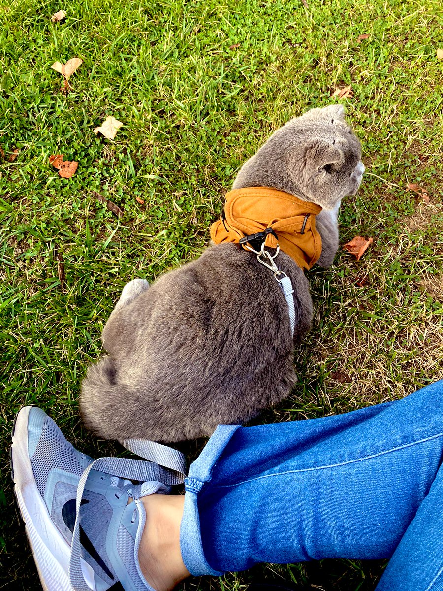 “ Napayım canım yaa, ben de çocuğu parka getirdim işte” 🤪🐈‍⬛🧡