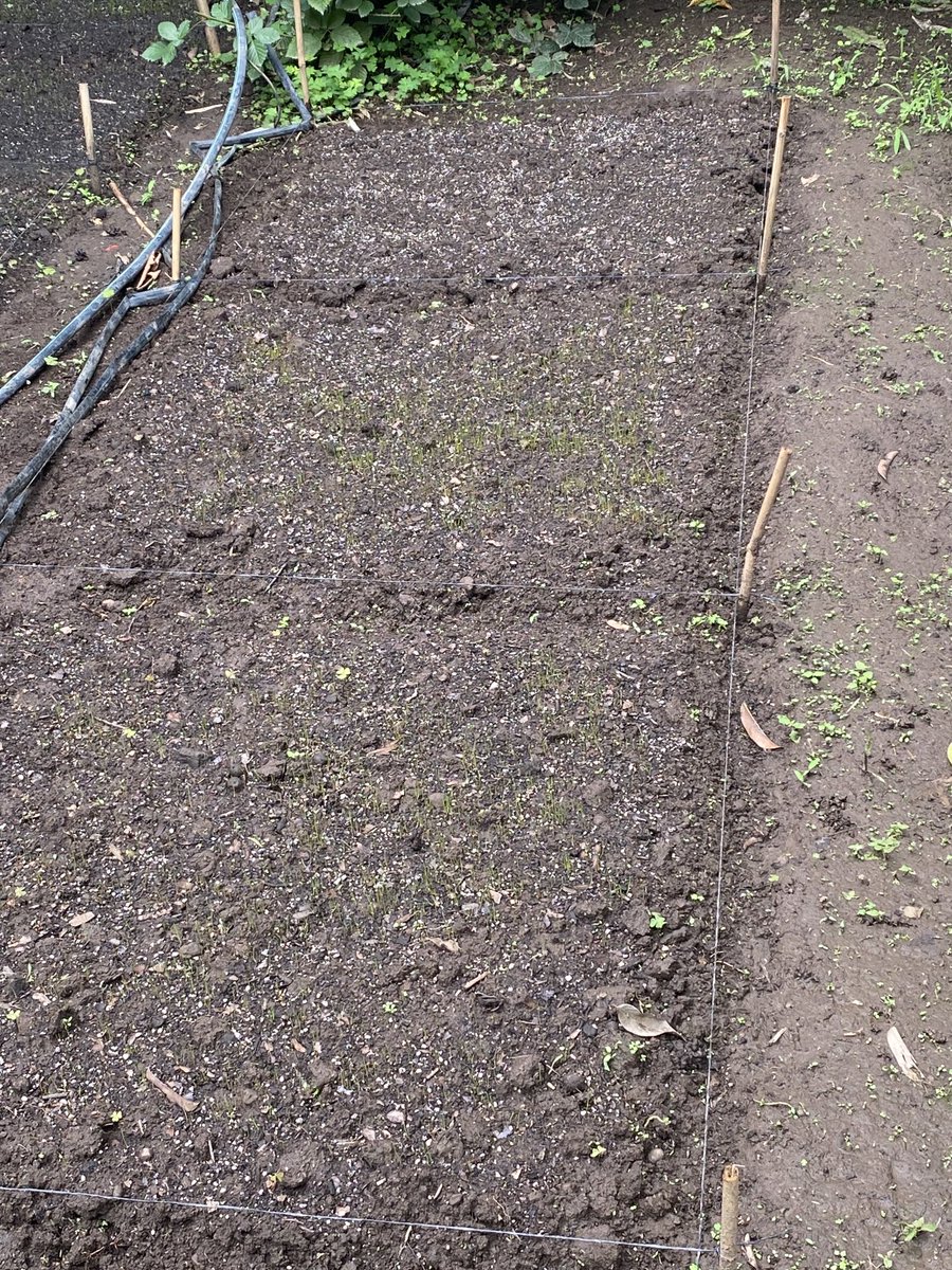 mbillman_DLFPS's tweet photo. Observing new Seed Enhancement trials at customers facilities, where trial results really separate.  Great to have the best partners and friends in the world.  #dlfusa https://t.co/krhdOBO09F