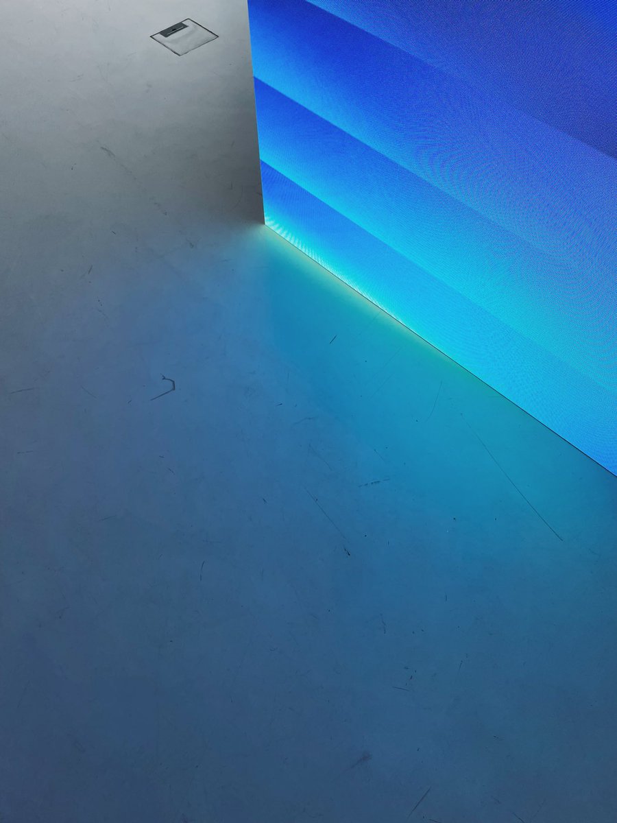 harley turan tweet media