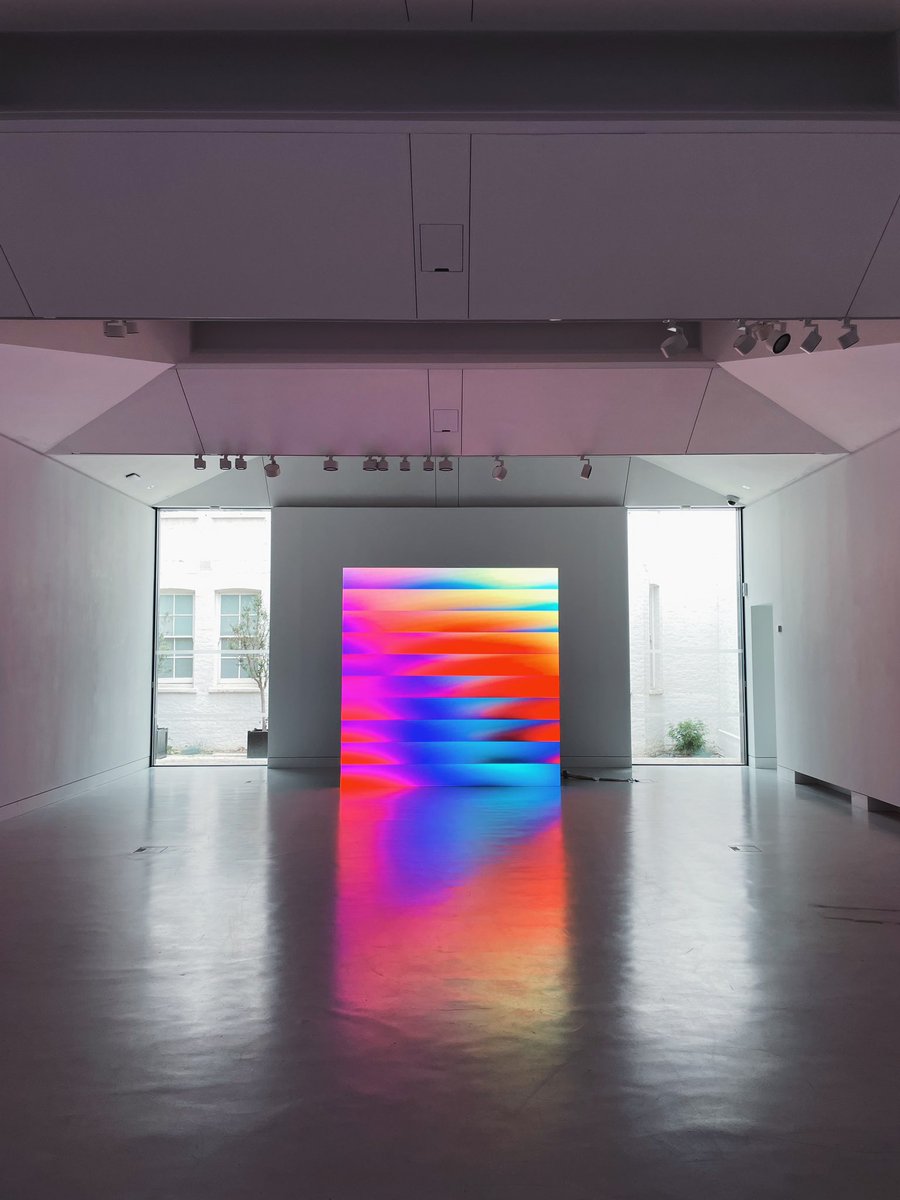 harley turan tweet media