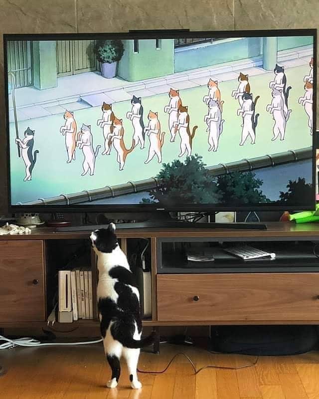 𖥔 ࣪˖ 𝓓𝓪𝔂𝓼𝓲 ⏾*:･ (@wildflowerdaysi) on Twitter photo 