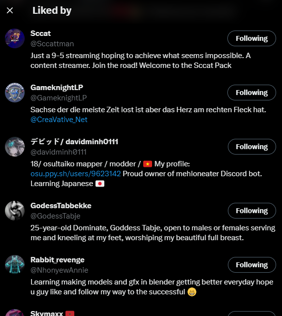 Owl tweet media