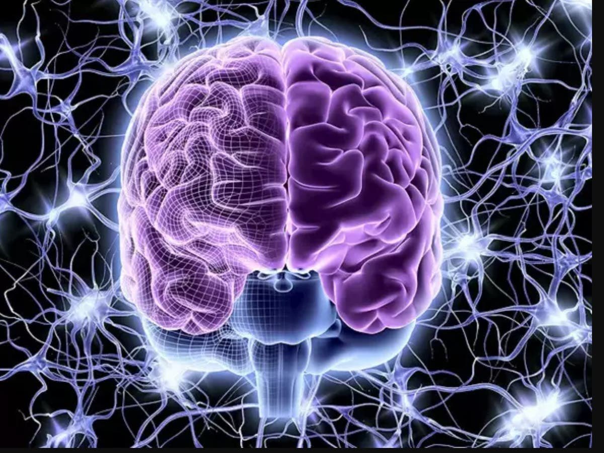 #لست_وحيد
الجانب الجميل من الاكتئاب
أنه لا يزور إلا العقول العظيمة
لم أرى في حياتي مصاب بالاكتئاب
إلا و وجدته عبقري و لديه عقلية فذة
عقلية متعمقة في التفاصيل
عقلية مبهرة في محيط محبط
عقلية رفضت الواقع فتقوقعت
△علاج الاكتئاب
التفرد لا"الانعزال"
ابحث عن انجازات فردية
🕊𝑯𝒂𝒏𝒊🕊