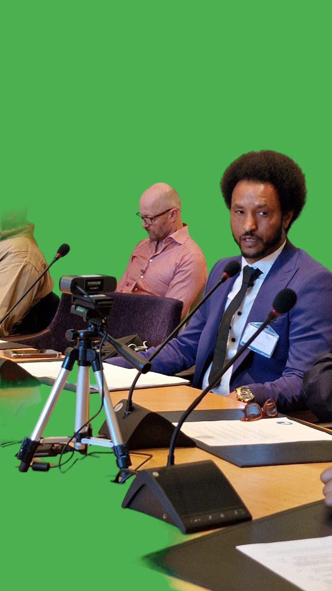 tewerwari_1's tweet photo. We condemn @SwedenUN, &amp; Swedish government to the fullest. The fact that member of a parliament encouraged #TPLF thugs to terrorize our communities, burn cars &amp; kill our citizens is a breach of international law. The gov of #Swe has blood in their hands
 #Eritrea #Ethiopia https://t.co/EcmaXsDaN0