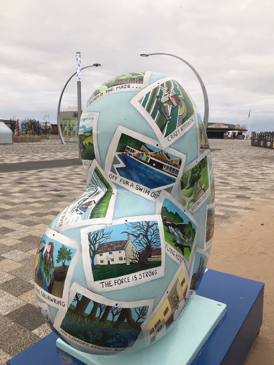 Alex 📷 tweet media