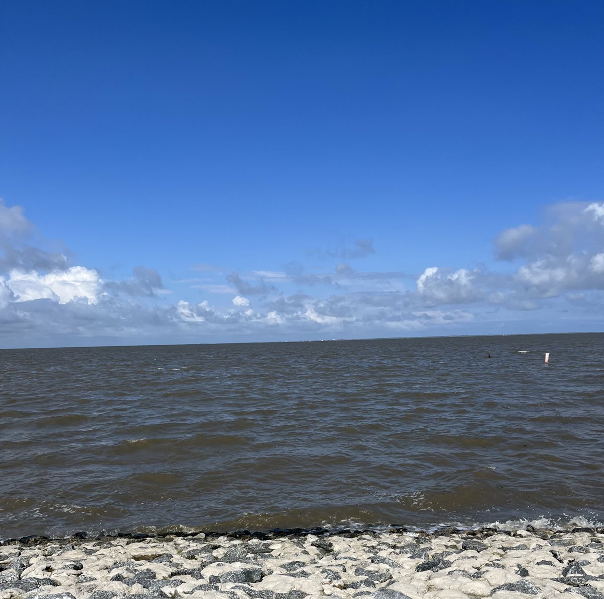 Johanna nun hier: zielkost.bsky.social tweet media