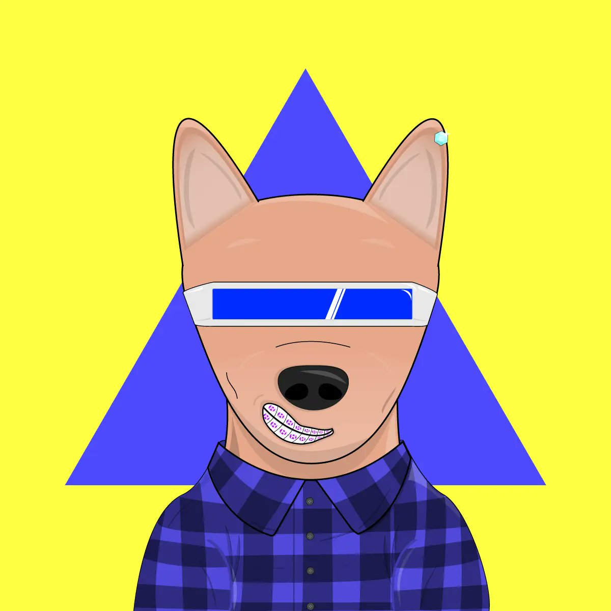 KundeBD's tweet photo. @FunkyRaccoons @HnY_NFTs and @SecretShibaNFT
Fun games and community! Shiba is unattanium.... Lol! #AlgorandNFTs #algogames https://t.co/Fozm4u0gMm