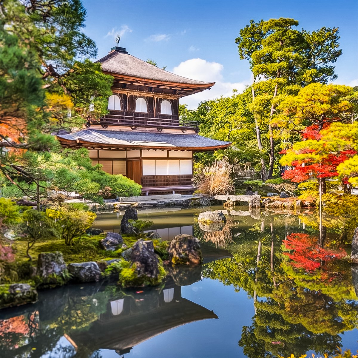mcwevents's tweet photo. Consider an incentive trip that seamlessly blends ancient traditions with modern sophistication in Kyoto, Japan. This incentive travel destination offers an ideal glimpse into Japan's rich heritage. 
#EventPlanning #EventProduction #IncentiveTrips https://t.co/V5Is5rcgvm
