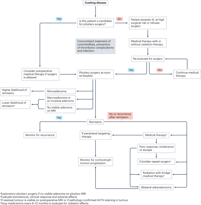 New content online: An individualized approach to the management of Cushing disease dlvr.it/St8tKR