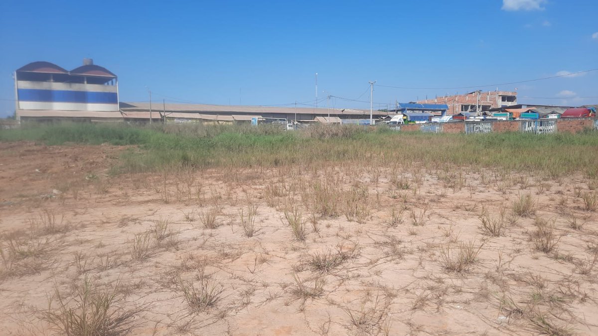 Muniportillo_'s tweet photo. 📷#ParaServirleMejor| El área de mantenimiento vial realiza limpieza  del patio del  terminal terrestre Km. 6.
#janetcastagne
#MPCP https://t.co/dx0S5RM5At