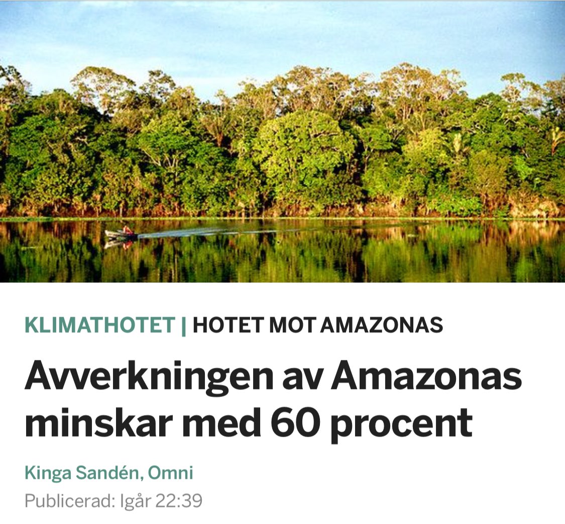 olaspannar's tweet photo. Den positiva trenden i Amazonas fortsätter. Avverkningen i juli minskade med 60% jämfört med i fjol. Sedan Lula da Silva tillträdde i januari har fler landtjuvar bötfällts, illegala gruvor drivits bort och nya områden fått skydd som naturreservat

https://t.co/l0BveX2Nhc https://t.co/h0lmfKXlZS