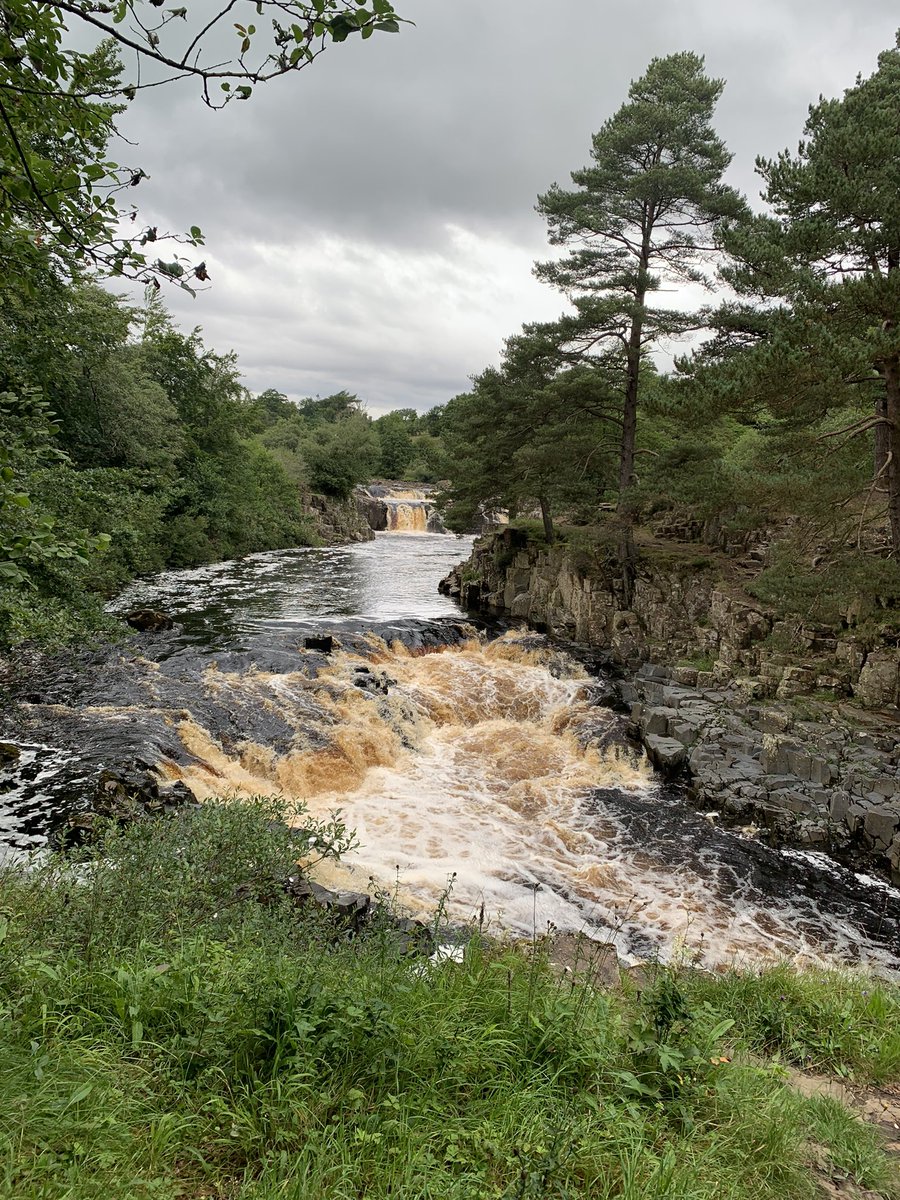 profbarrydoyle's tweet photo. Today #Lowforce in Teesdale. https://t.co/p5D24dXS8v