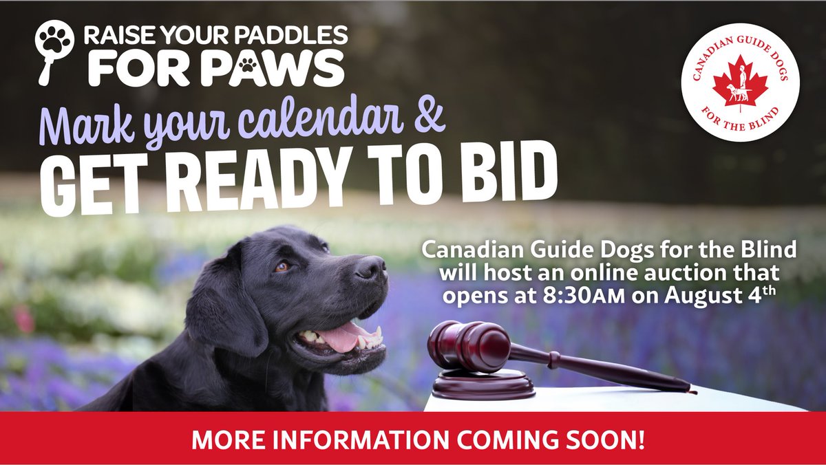 Canadian Guide Dogs for the Blind tweet media