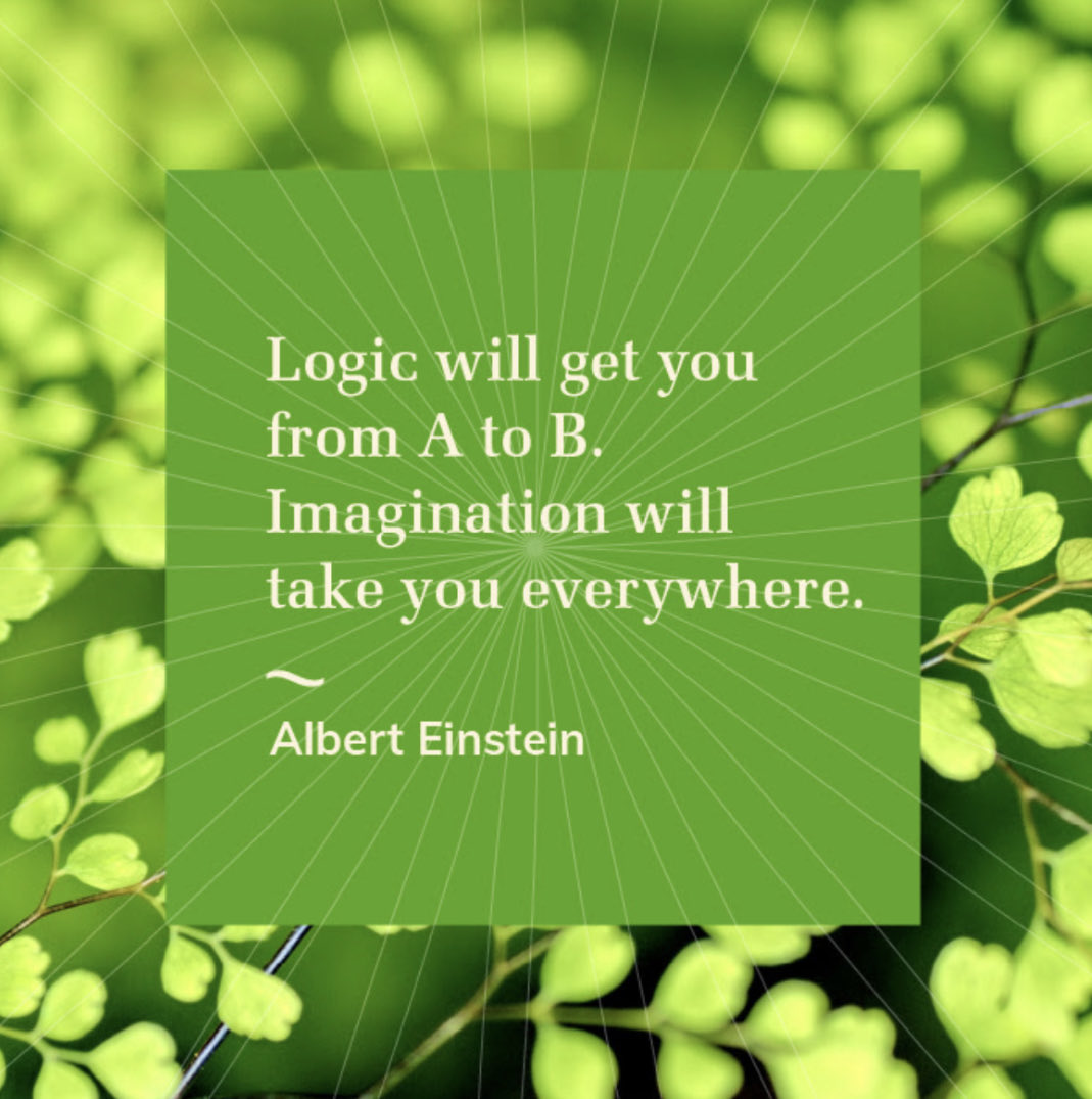 #writers #authors #literacy #teachers #education #books