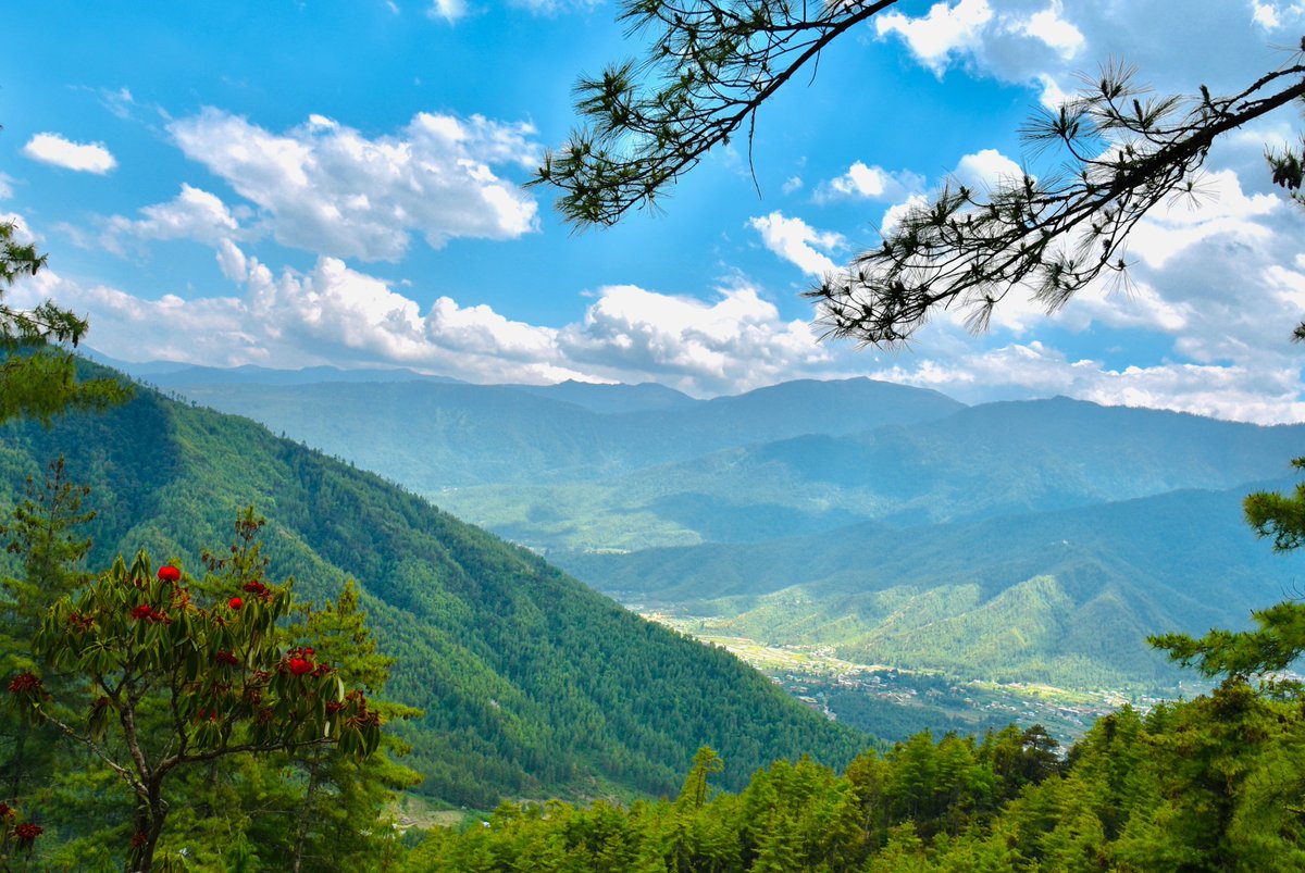 EcoNation tweet media