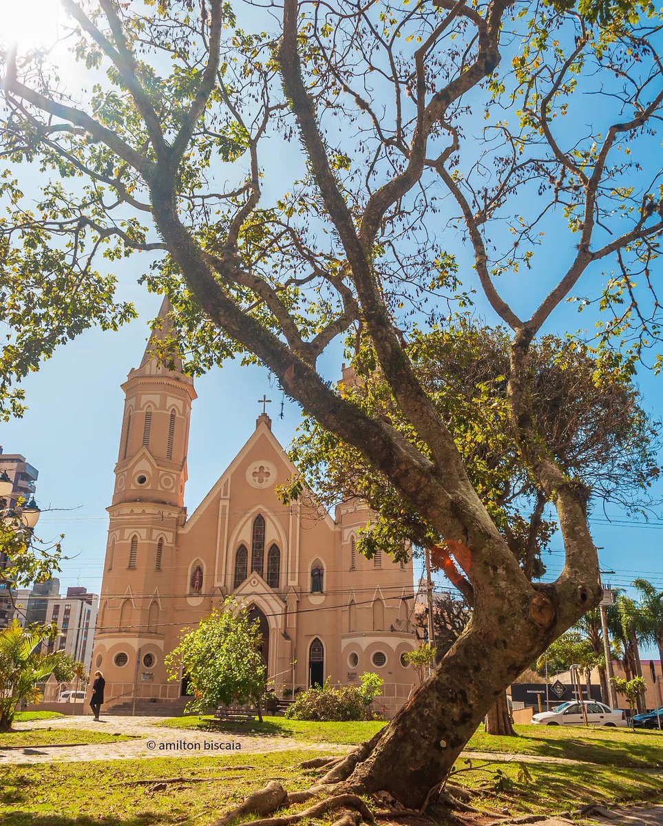 curitiba_pmc's tweet photo. Bom dia, Curitiba! 😍
Nada como uma semaninha de dias ensolarados pra alegria de todo #curitilover ❤️ Bora aproveitar, chama os amigos e #CurtaCuritiba!

📸 @amilton_biscaia https://t.co/DS6pI0hIdv