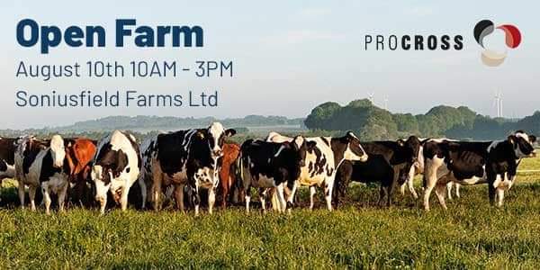 Come join us in one week to our open house showing almost 10 years of ProCross breeding and tour our barn. If you've had any interest in a cross bred breeding program this is the one to come see