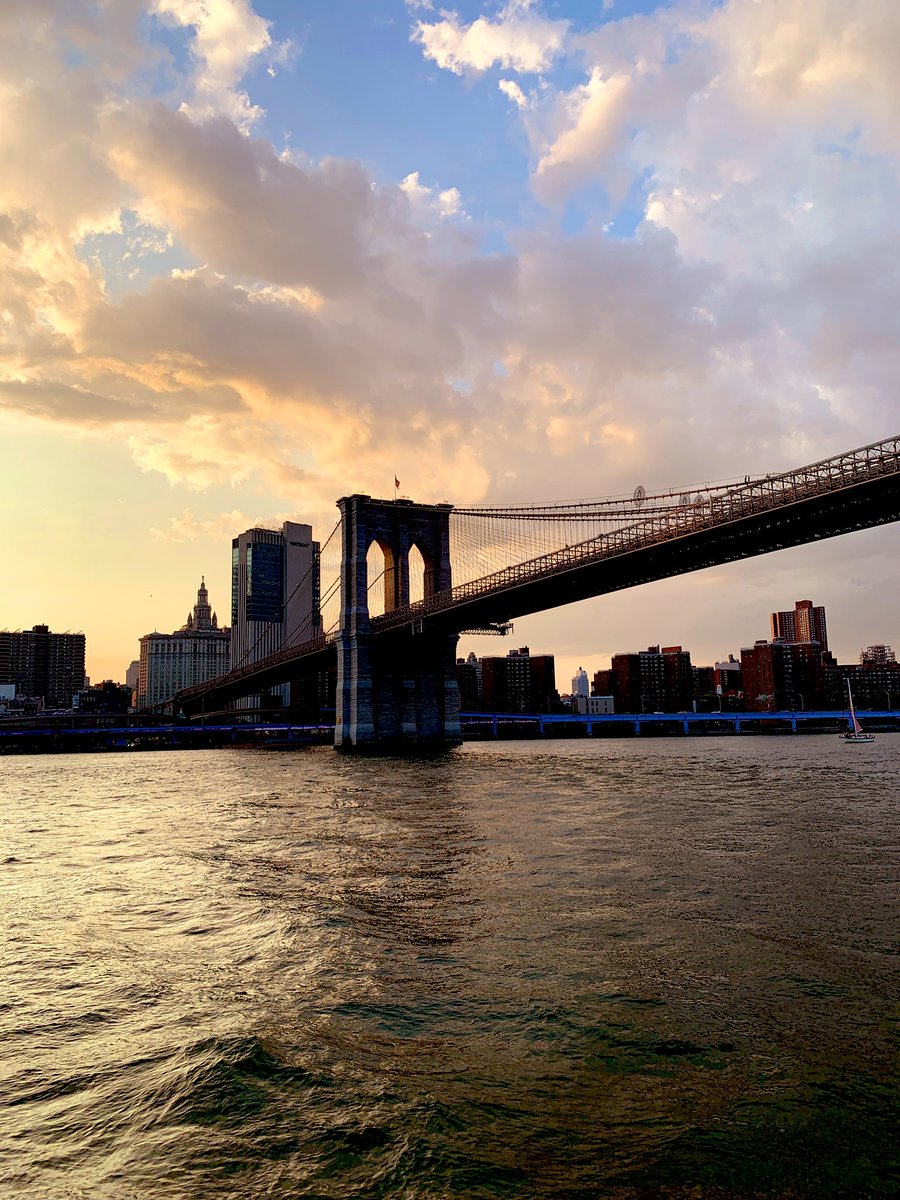 Kaji 🪂 tweet media