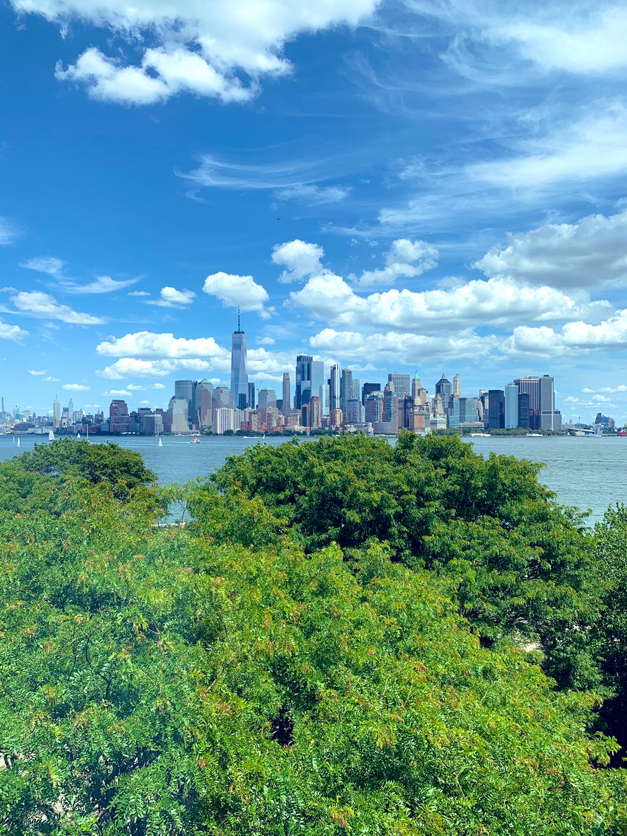 Kaji 🪂 tweet media