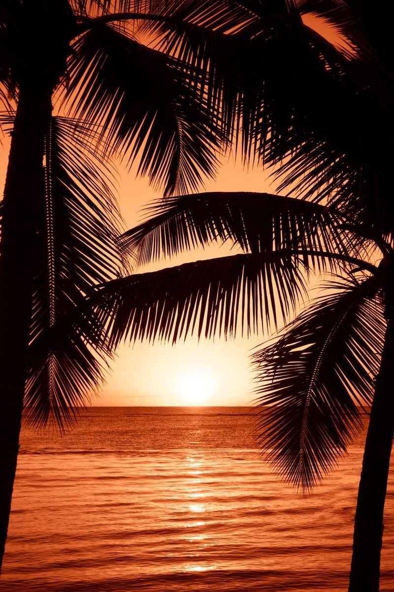 shopISAMEL's tweet photo. Enjoy 50% off all products now during the SUMMER CELEBRATION SALE 🖤

ISAMEL - Luxury Swimwear ✨

#swimwear #luxuryswimwear #ethicalswimwear #sustainableswimwear #recycledfashion #luxurybrand #swimweardesigner #flashsale #bigsale #sale #discount #summersale #swim https://t.co/SLxUd0OC9e