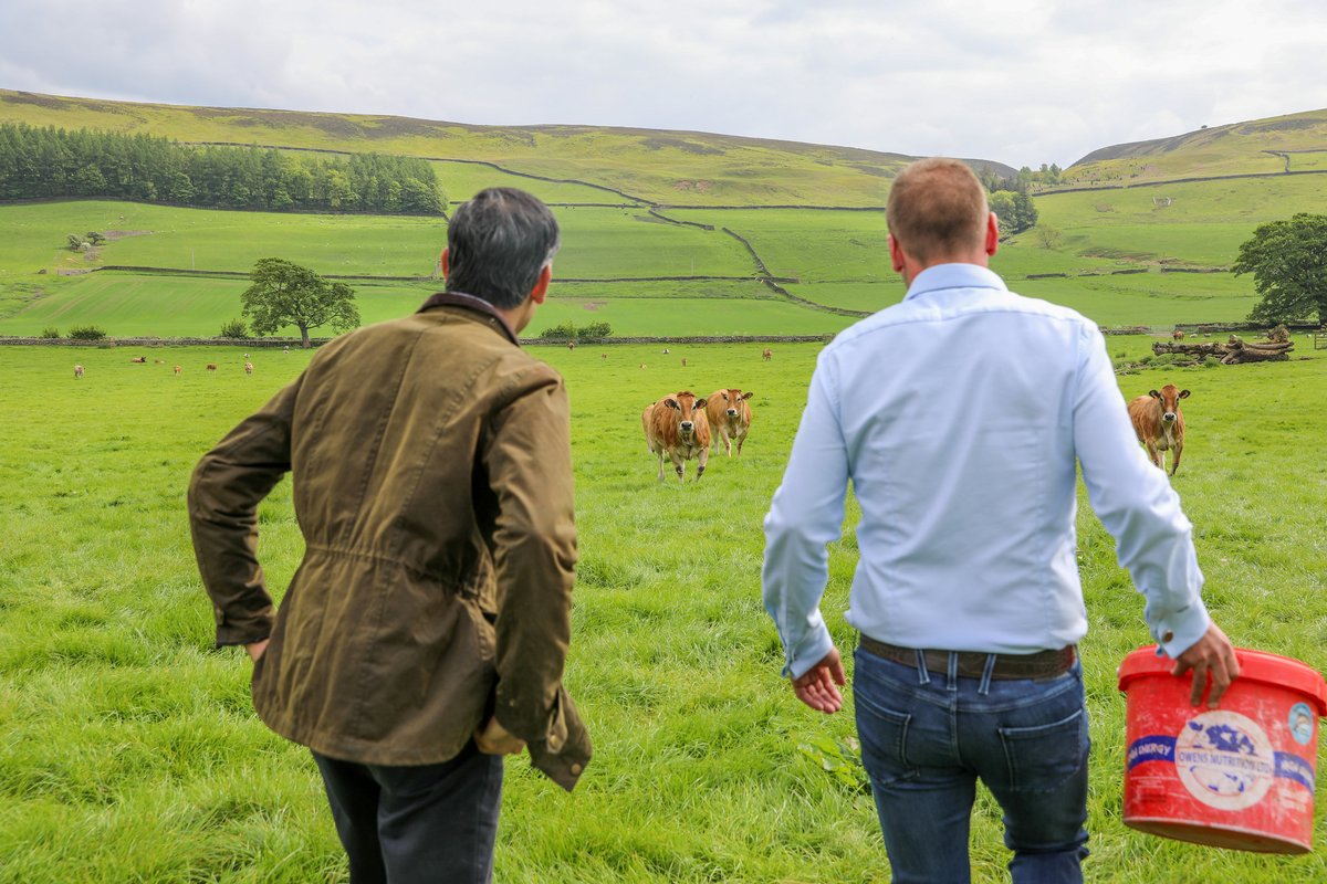 Rishi Sunak tweet media