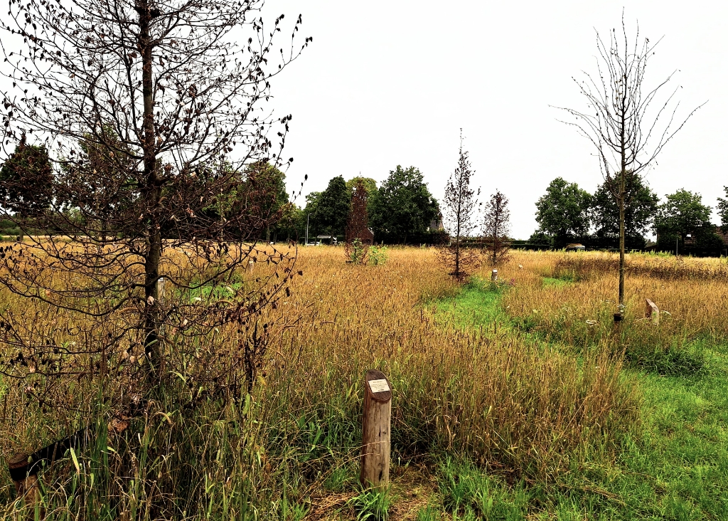 KijkopSteenbergen.nl tweet media