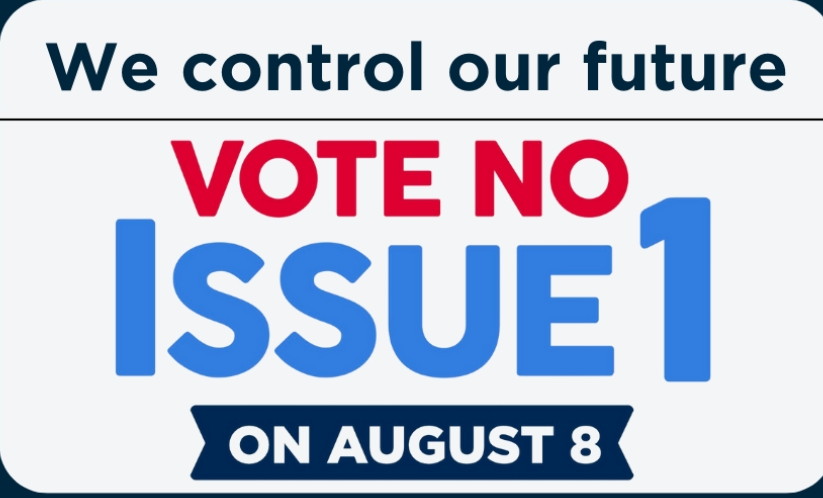 SueSrod8128's tweet photo. @marikosegawa @JerryAtricks1 @iamDontavius #OhioRepublicansAreCorrupt #VoteNoOnIssueOne https://t.co/O8qFEVWWEP