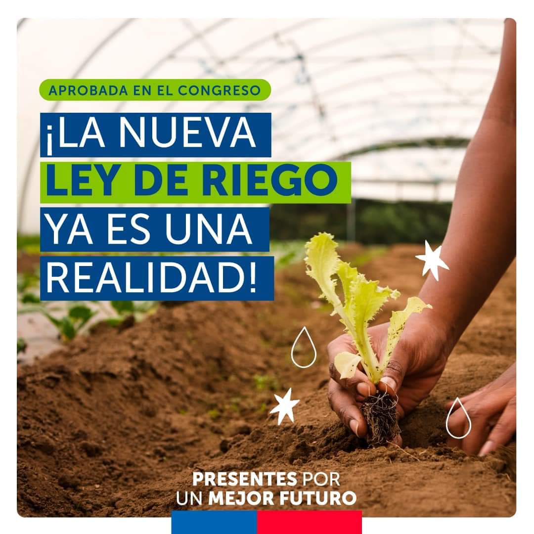INDAP_MAULE's tweet photo. ¡Gran avance para la agricultura con la #NuevaLeyDeRiego!💧🌱

Luego de años de tramitación, nuestro país cuenta con una ley de riego que focaliza los esfuerzos de la CNR en la pequeña y mediana agricultura 👩‍🌾👨‍🌾 y permitiendo un uso más eficiente del agua para el riego 🌾 https://t.co/SseCiCFsXa