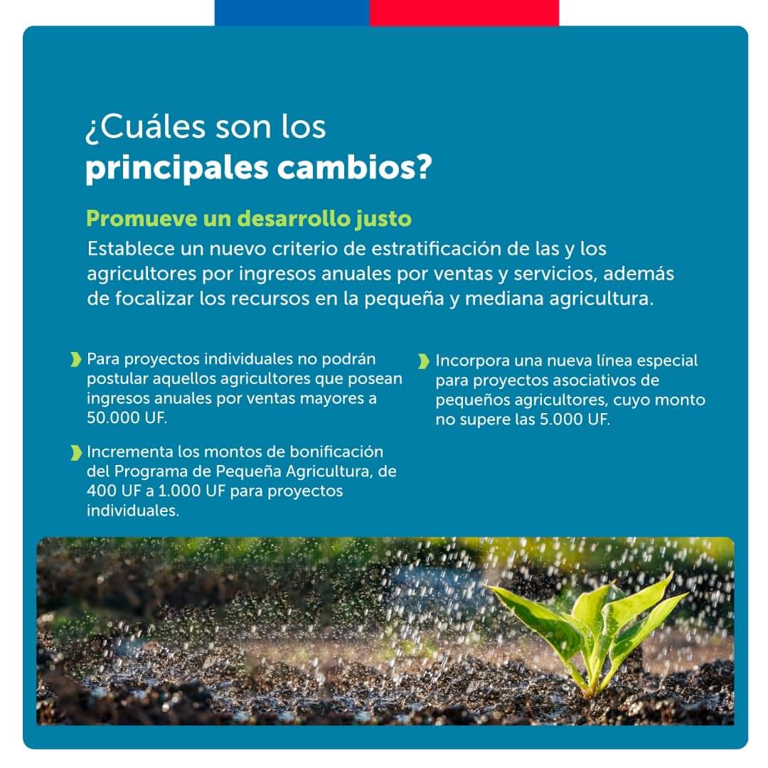 INDAP_MAULE's tweet photo. ¡Gran avance para la agricultura con la #NuevaLeyDeRiego!💧🌱

Luego de años de tramitación, nuestro país cuenta con una ley de riego que focaliza los esfuerzos de la CNR en la pequeña y mediana agricultura 👩‍🌾👨‍🌾 y permitiendo un uso más eficiente del agua para el riego 🌾 https://t.co/SseCiCFsXa